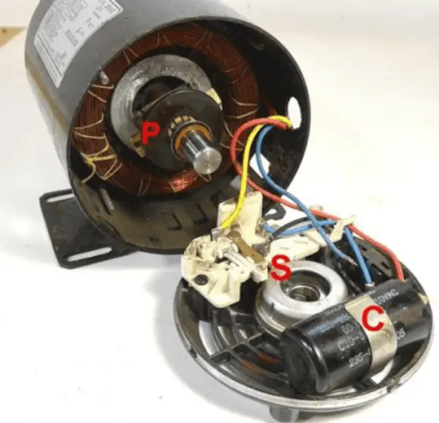 Centrifugal switch in induction motor